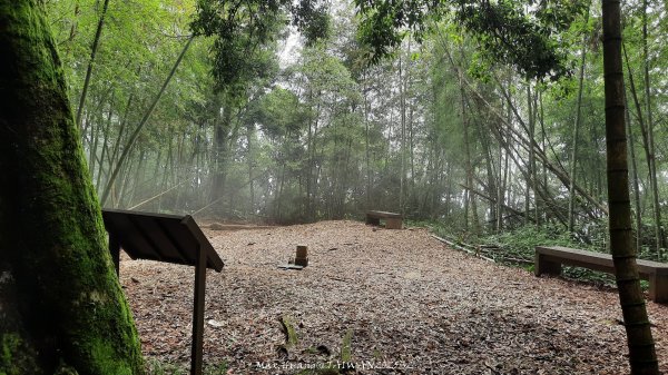 《雲林》望好望角｜石壁山嘉南雲峰步道(中側登山口）202506072805398