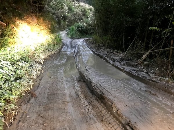 霞喀羅國家步道_石鹿登山口201901261964147