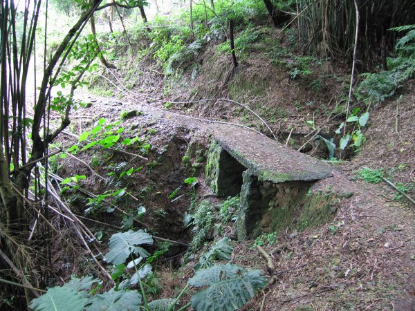木柵猴山坑古道1957693