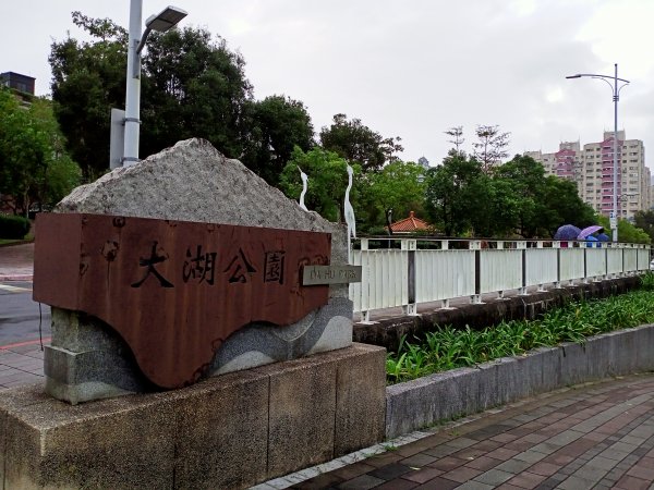 大湖公園 (防災公園)【走路趣尋寶】1899921