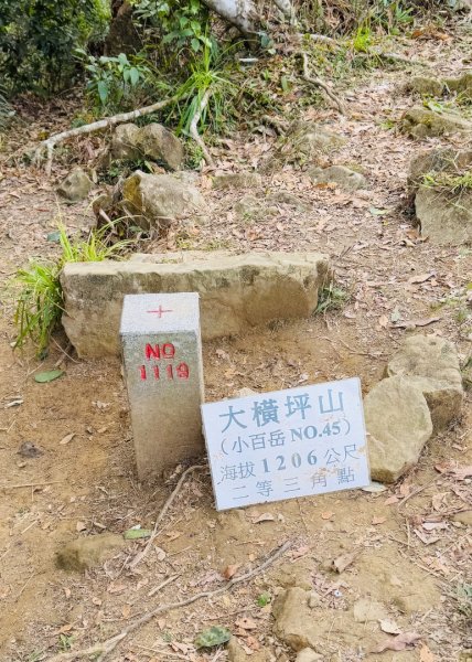 走大橫屏山九份二山(小百岳#45、47)賞梅去2695067