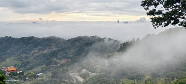 #雲瀑 #雲海 #琉璃光 #天空之城（林口）#觀音山 #林梢步道 3/13008591