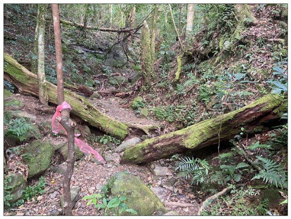 赫威山、多崖山、北插天山 連走2957282