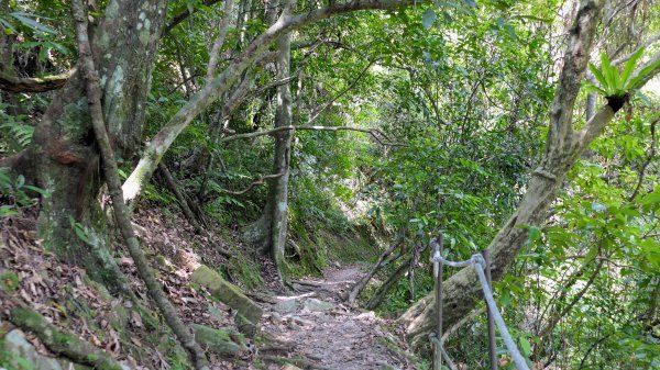 福山部落,內洞森遊區2552454