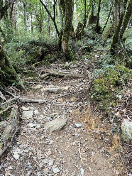 百岳-塔關山2695790