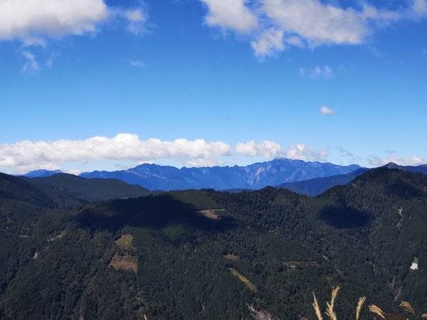 屏風山--岳界說的鳥山，其實不鳥～很辣703246