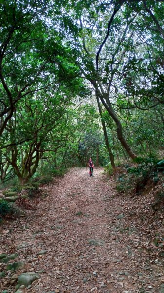 小百岳【尾寮山】905218