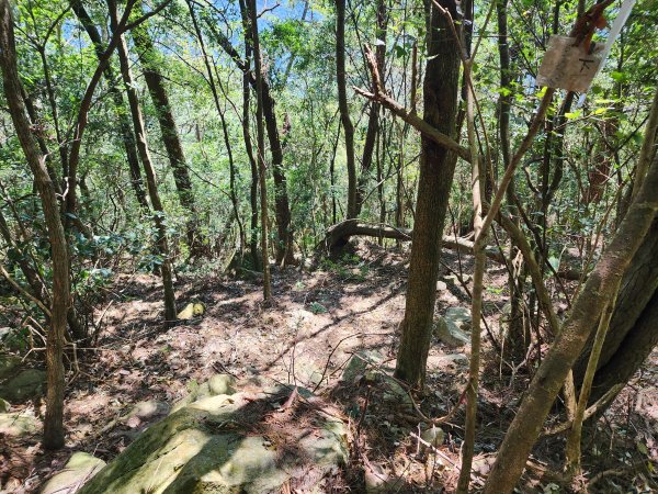 20241013東南稜上東卯山2670998