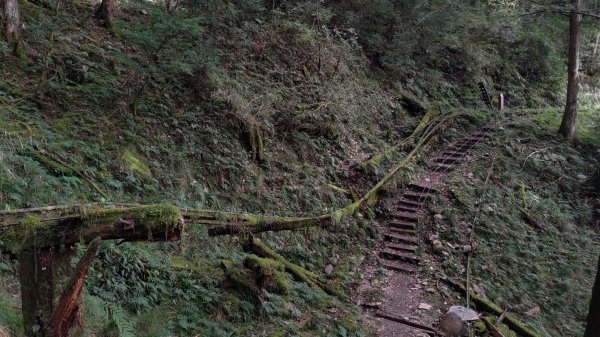 茂興懷舊步道1510266