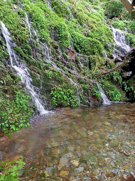 宜蘭太平山國家森林遊樂區 - 見晴懷古步道、檜木原始林步道（2-1 至蹦蹦車站）【台灣百大必訪步道】2245155