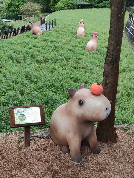 臺北大縱走第七段&第八段3019192