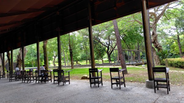 霄裡好風光運動樂悠遊-大湳森林公園2823570