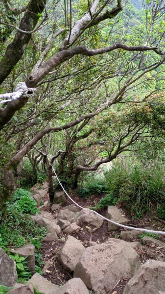 第二段：二子坪→小油坑2759580