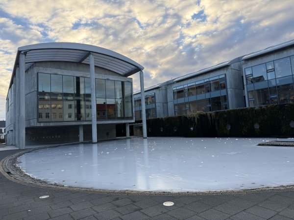 [紐約馬之行-21] 2025_1104 托寧湖(Tjörnin)2946334