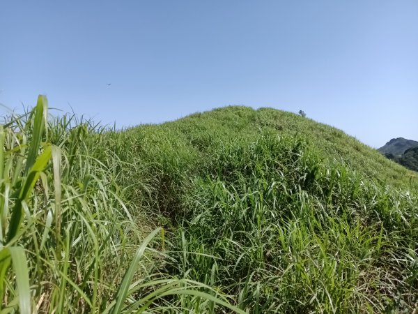 雙溪區不厭亭+牡丹山+樹梅坪+鷹石岩山神廟+不厭亭+奉憲示禁碑+三貂崙+不厭亭8字走2766221