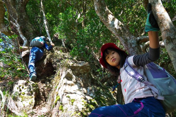 煤源登內鳥嘴山728960