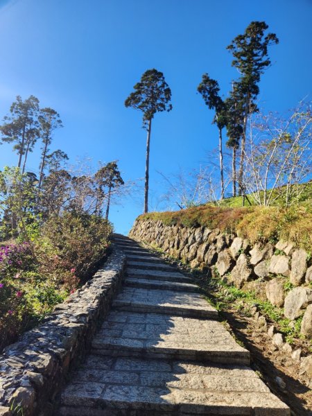 雲嶺之丘連走木馬古道O繞2665822