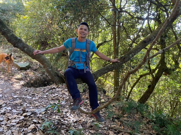 六龜美輪山【享受簡單純粹的登山樂趣】2415556