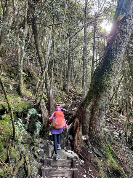回程下雨的 松鶴上 八仙山 202510252925750