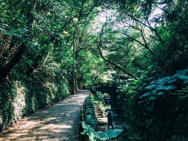 [台北信義] 虎山親山步道106891