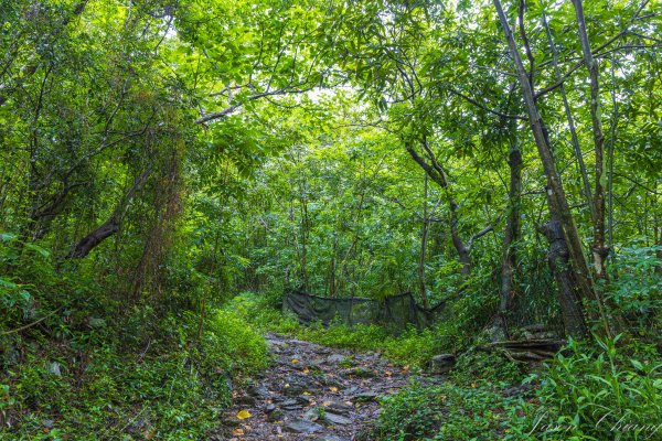 [屏東]笠頂山2847890