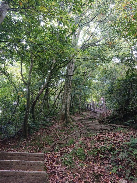 東眼山-拉卡山O型950451