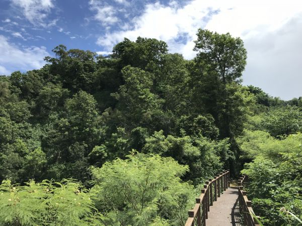 林安森林公園(大寮山)遊東源389378