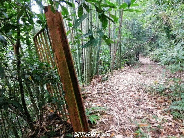 【台南。南化】開車比爬山還辛苦。小百岳集起來。編號66小百岳~西阿里關山1473560