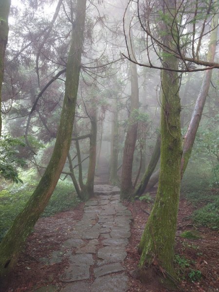 陽明山之擎天崗2207163