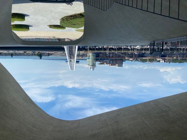 霄裡好風光2833551