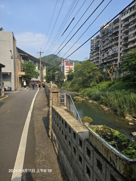 2026-04-11微笑山線：【二格山系】筆架連峰段3034537
