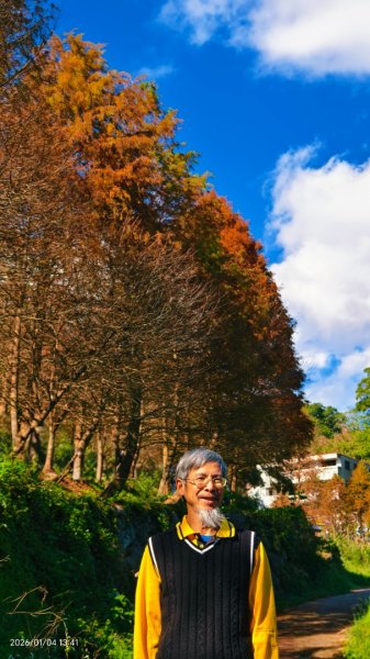 #花卉試驗中心 #永公路500巷 #平菁街42巷 #原住民公園 #士林官邸 1/42976607