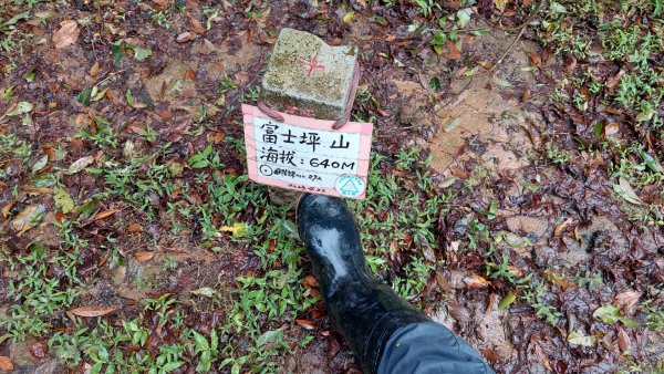 陽明山後花園，百年靜美牧牛山徑，古道草原精華連走2787727