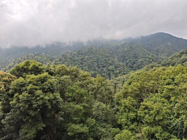 2025_0713 拉拉山神木群步道2837258