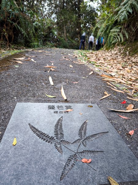 2025-03-29 日月潭「內湖山步道」2750218