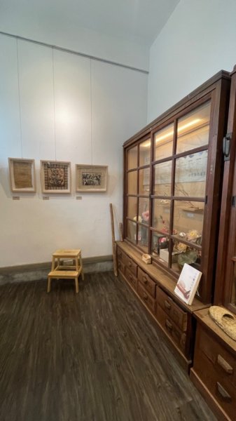 雨天備案💙 台灣博物館的古生代館-台大動植物館免費參觀-北投♨️季2807498