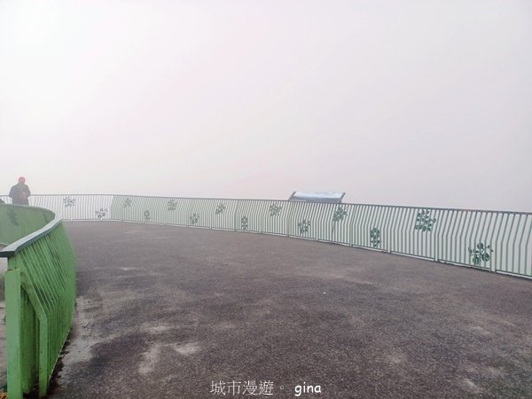 【雲林古坑】療育綠廊。 雲嶺之丘 x杉林步道x五元二角2760576