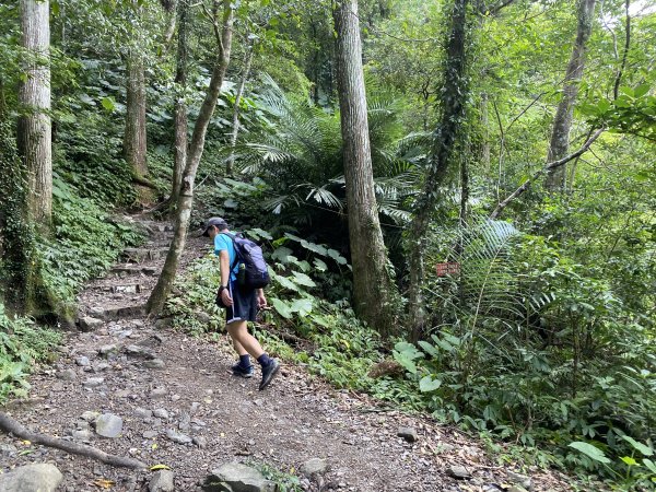 《探訪熊空秘境｜新北三峽雲森瀑布沁涼體驗》2878464