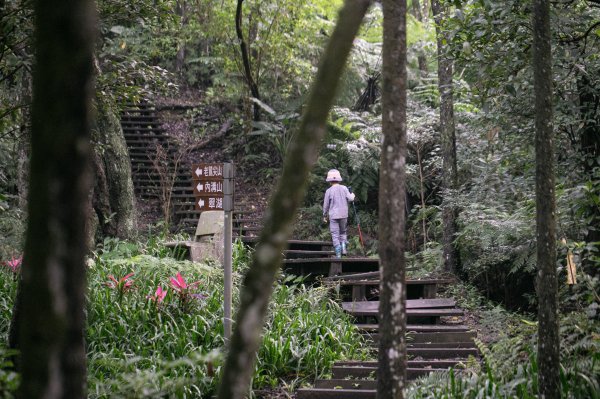 北港二坑-翠湖-內溝山-油桐嶺-老鷲尖山-老鷲尖南峰-學頭坡山 O型2232067