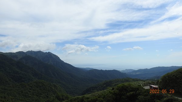 雲山水花鳥蝶 - 天龍國阿伯的日常  瀕危的 #東方白鸛 #A201720797