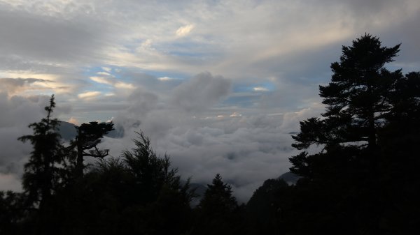 奇萊主山登山健行趣(百岳20號)2290037