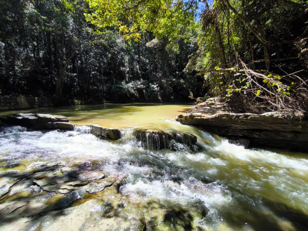 2024-08-22 澀水森林步道2578451