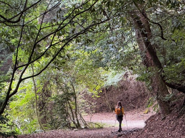 雪霸國家公園 雪見遊憩區 東洗水山2928566
