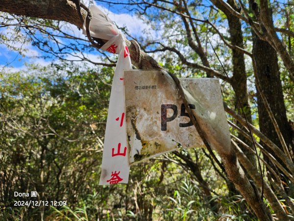 【谷關七雄】波津加(H1771.6m)肉腳配速成功2670463