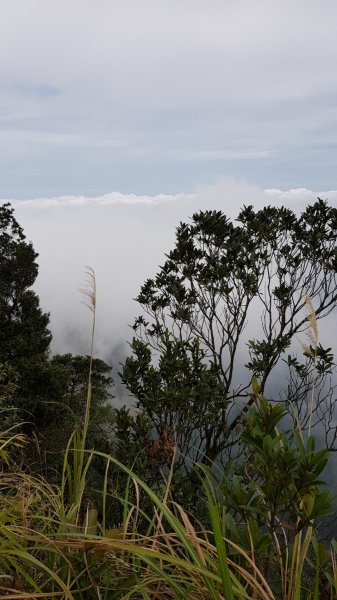 苗栗獅潭仙山509374