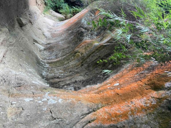 2025/8/2微笑山線_第三段_鳶山彩虹壁段2867428