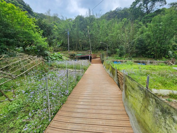 20250404雙十縱走失敗撤退改走蝙蝠山2892566