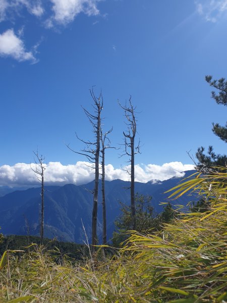 大雪山200林道北三錐山1579158