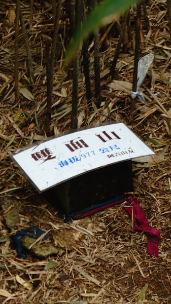 20260125 陽明山前後山健行(無極天元宮~山仔頂步道.向天池.向天山.面天山.二子坪)2998039