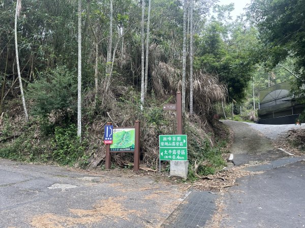 [踢不爛大地遊戲-09/10] 2024_0504 梨子腳山步道2496780